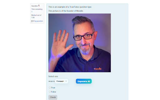 Мёд в кармане — Moodle AI screenshot 2