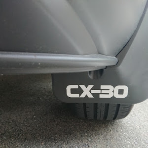 CX-30 DMEP