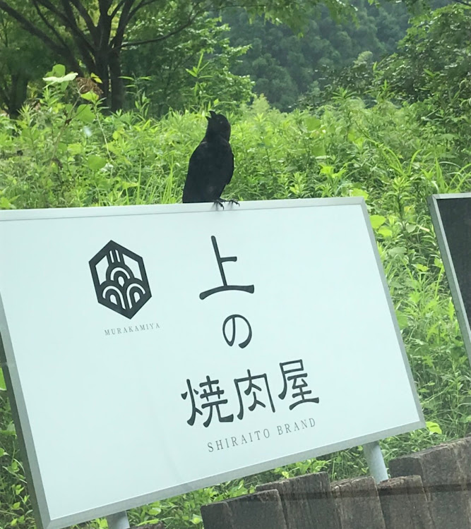 ジムニーの海を見にドライブ🚗💨・かき氷はじめました😑・カラスの勝手でしょw・平日ドライブ決行！！・妻との休日に関するカスタム事例の投稿画像5枚目
