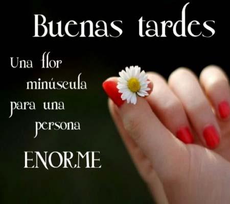 Frases Buenas Tardes