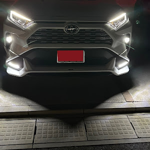 RAV4 AXAH52