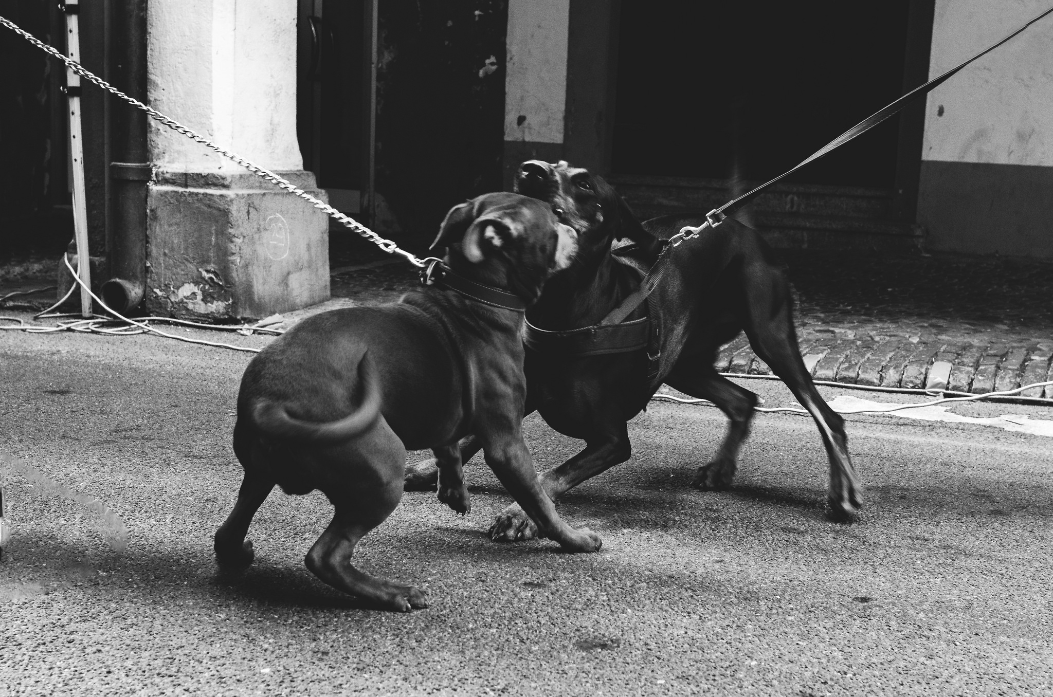 Giochiamo! di photogiu