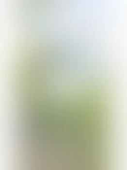 元カレとの過去