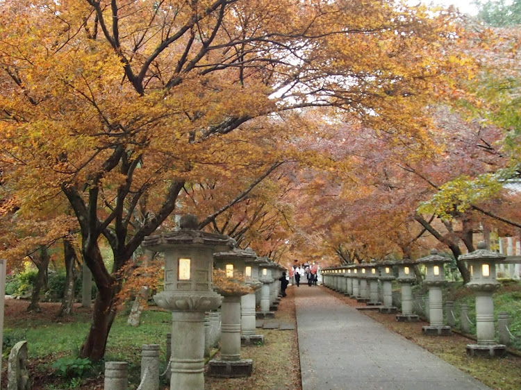 320iの紅葉🍁・お寺巡り・丹波・ローガンに関するカスタム事例の投稿画像11枚目