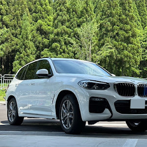 X3 xDrive 30e