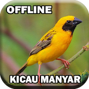 Master Suara Burung Manyar 3.0 Icon