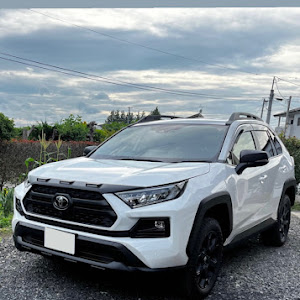 RAV4 MXAA54