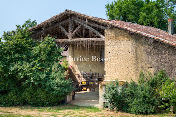 ferme à Castelsarrasin (82)