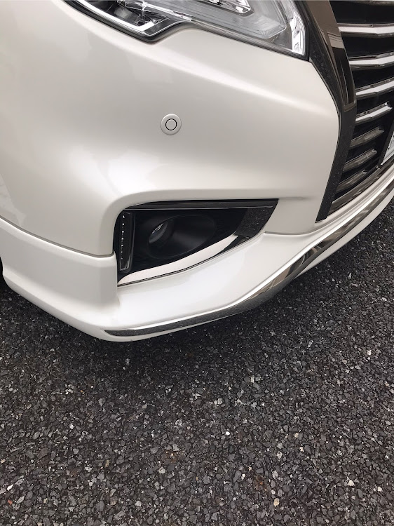 エルグランドの洗車に関するカスタム事例の投稿画像4枚目
