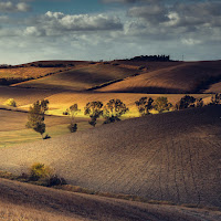 Settembre Toscano  di 