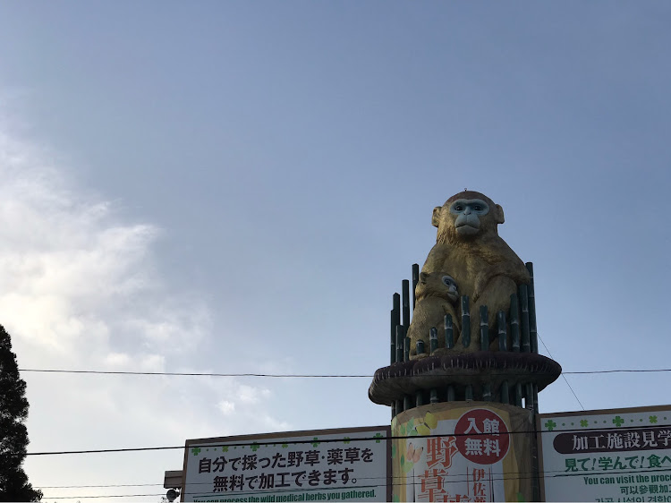 MRワゴンのコロナウイルスに負けるな・イルミネーション巡り・伊佐市 曽木の滝・地域活性化に関するカスタム事例の投稿画像4枚目
