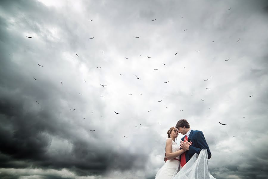 Wedding photographer Aleksey Teksomolika (teksomolika). Photo of 29 September 2014