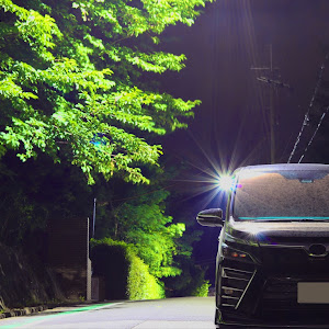 ヴォクシー ZRR80W