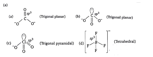 Solution Image