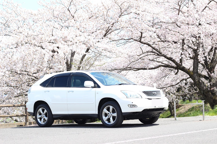 ハリアーのハリアー30・桜とコラボ・桜と愛車に関するカスタム事例の投稿画像1枚目