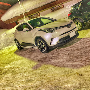 C-HR NGX50