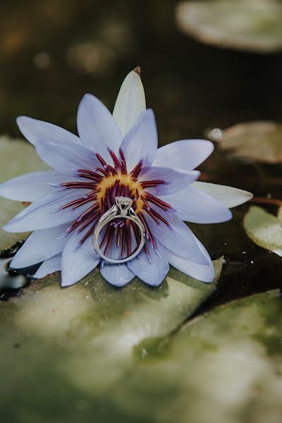 Fotografer pernikahan Raúl D Mingo (rulymingo). Foto tanggal 26 Juni 2023