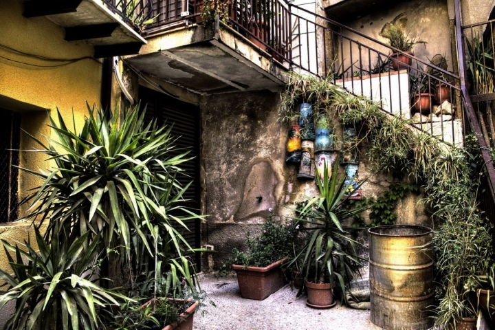 Il cortile dell'artista. di Petruzzo