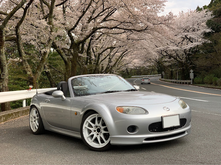 ロードスターの箱根ターンパイク・峠ドライブ・ロードスター ・桜と愛車・シャコタンに関するカスタム事例の投稿画像1枚目