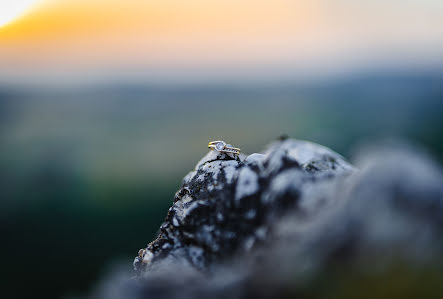 Fotógrafo de bodas Tóth Gusztáv (tothgusztav). Foto del 1 de agosto 2022