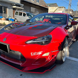 86 ZN6