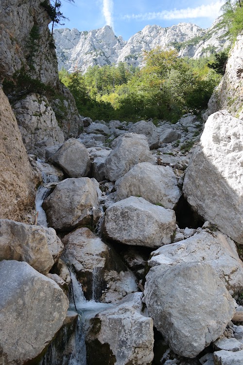 ESLOVENIA EN VERDE Y TURQUESA + VENECIA DE POSTRE - Blogs de Eslovenia - VALLE DE LOGARSKA DOLINA (6)