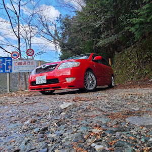 カローラフィールダー ZZE123G