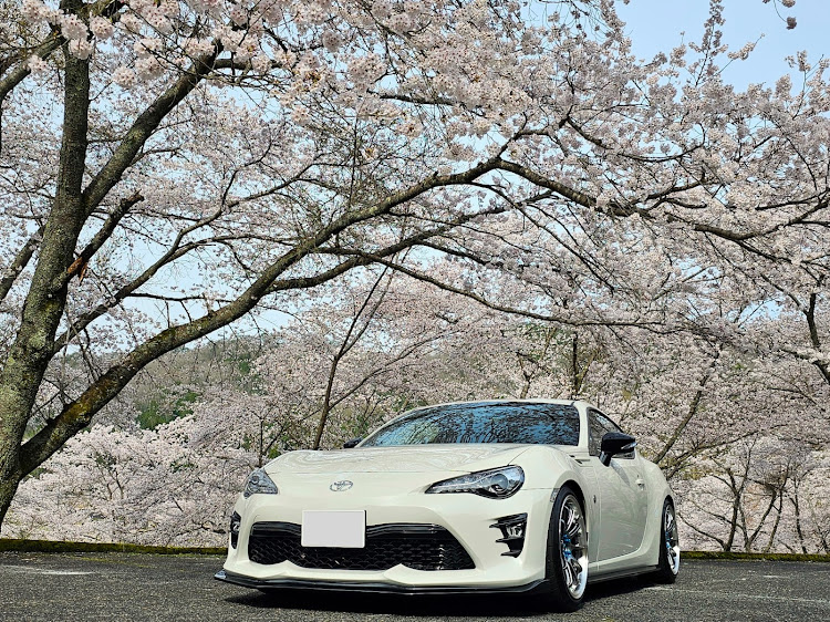 86のサクラと愛車・ダム桜・春のスイーツ・洗車祭り・いつも いいね&コメントありがとうございます🍀に関するカスタム事例の投稿画像1枚目
