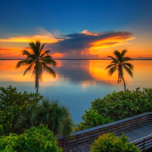 Good Morning Wishes in Chinese