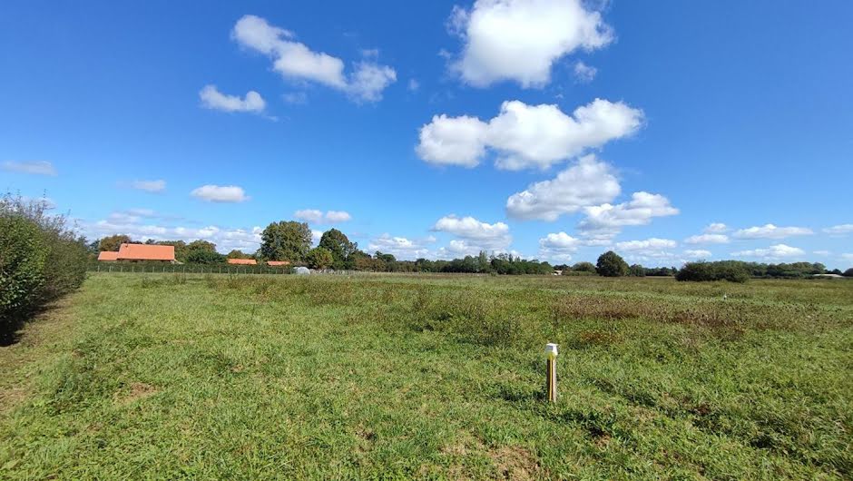 Vente terrain  4068 m² à Saint-Cricq-du-Gave (40300), 66 000 €