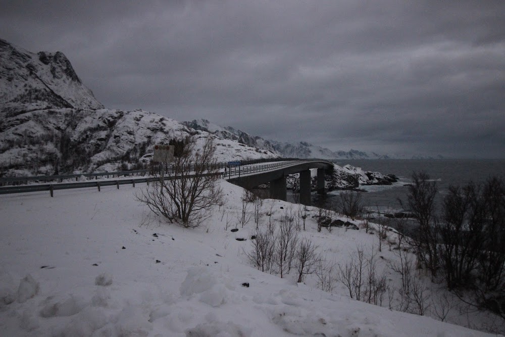 В погоне за снежными пейзажами (острова Lofoten в Новом 2020 году)