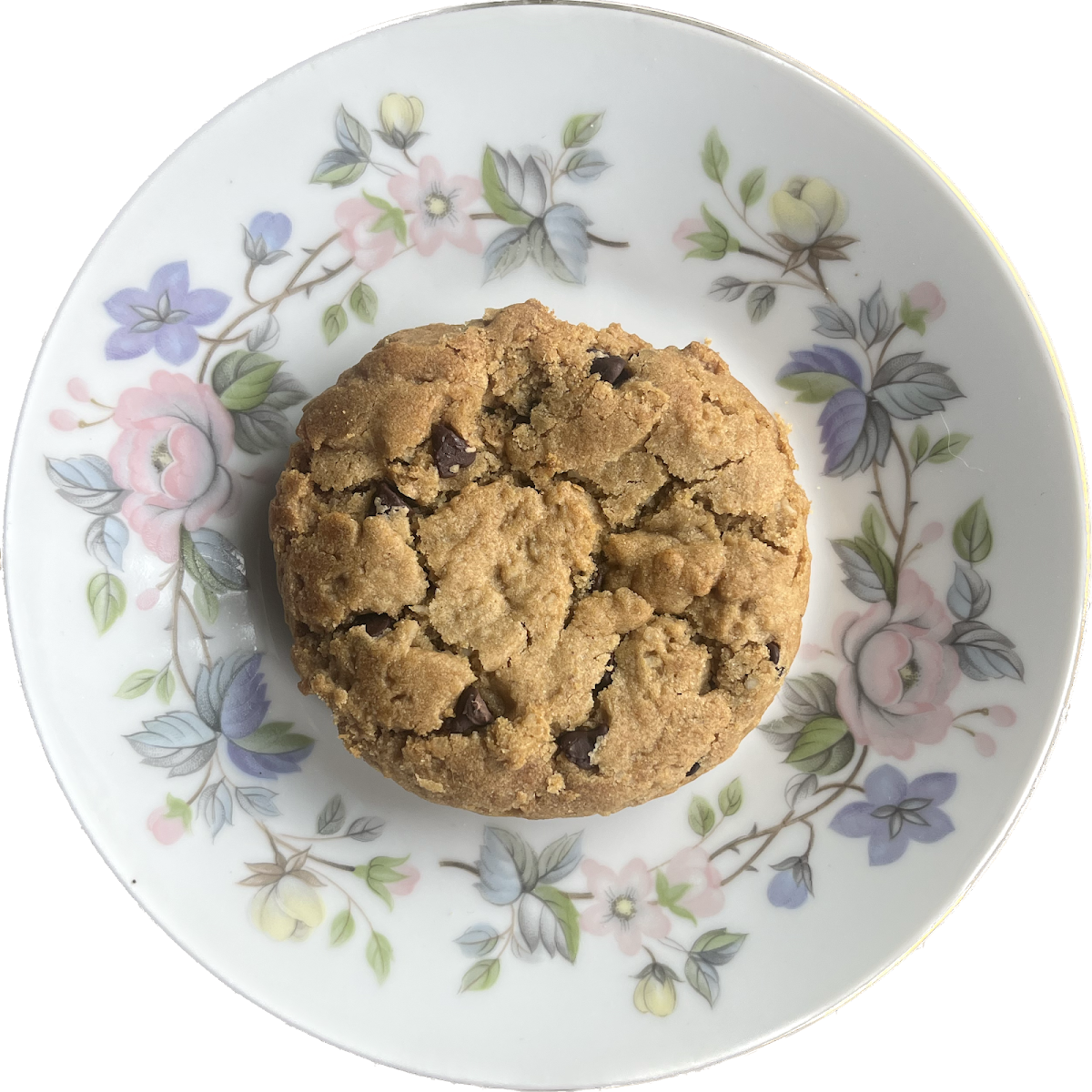 VGF Coconut Chocolate Chip Cookie