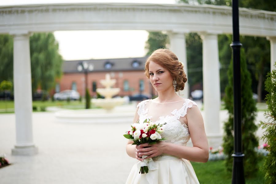 Wedding photographer Anastasiya Sokolova (anfalcon). Photo of 12 September 2017