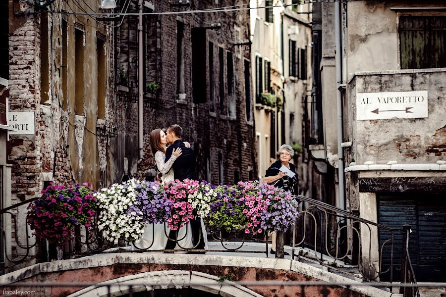 Fotógrafo de casamento Irina Paley (paley). Foto de 16 de dezembro 2013