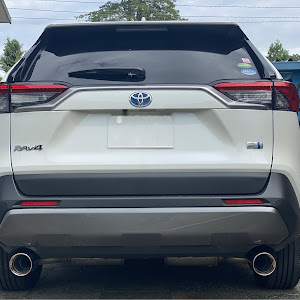 RAV4 MXAA52