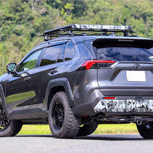 RAV4 MXAA54