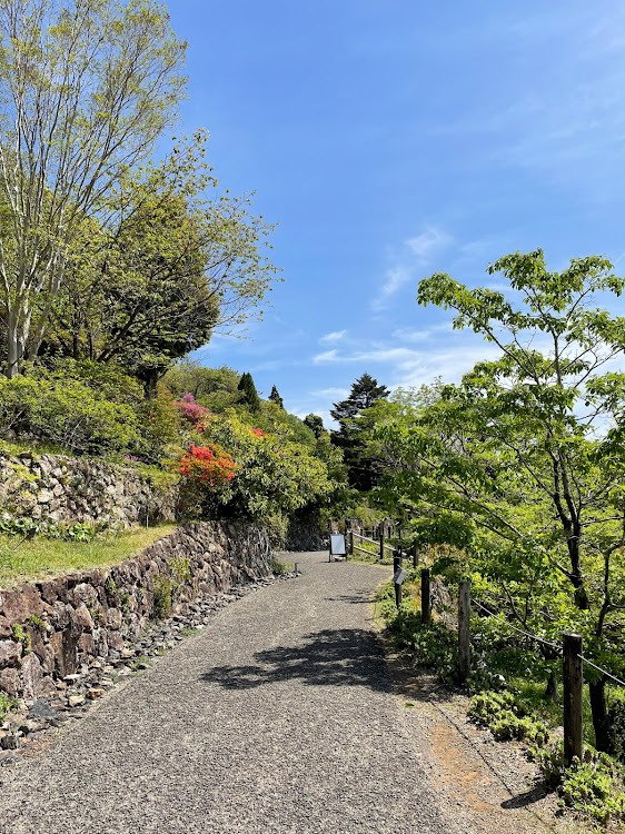 の投稿画像37枚目