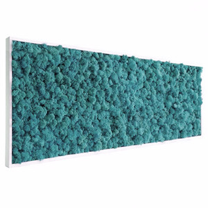 Tableau végétal stabilisé Lichen pacific 60 x 80 cm