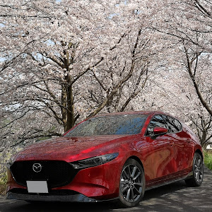 MAZDA3 BPFP