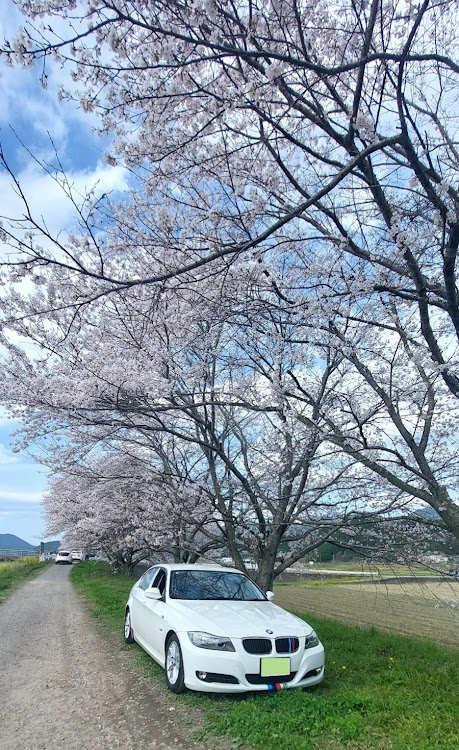 の投稿画像4枚目