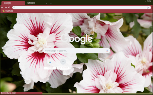 Hibiscus Syriacus screenshot 1