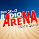 Download RADIO ARENA TOAY For PC Windows and Mac 1.0