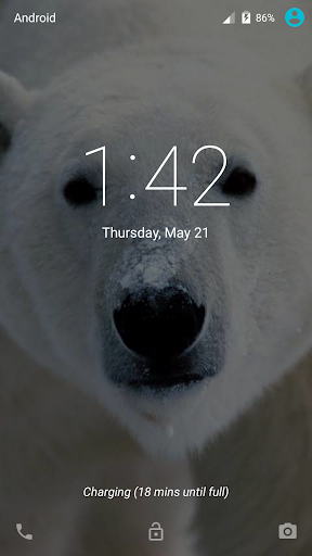 Polar Bear Live Wallpaper Free