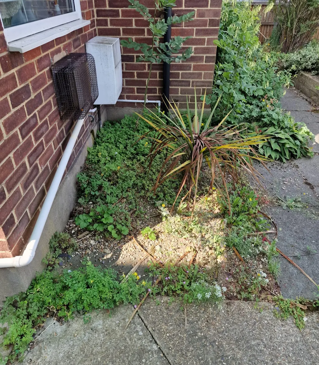 Album cover: Garden job