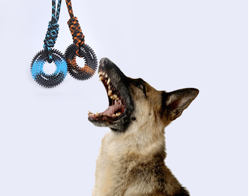 Title 1, Knot rope hand pull toy with two-color ring and...
