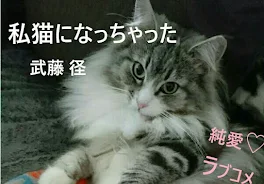 わたし猫になっちゃった[ラブコメショー・トストーリー]