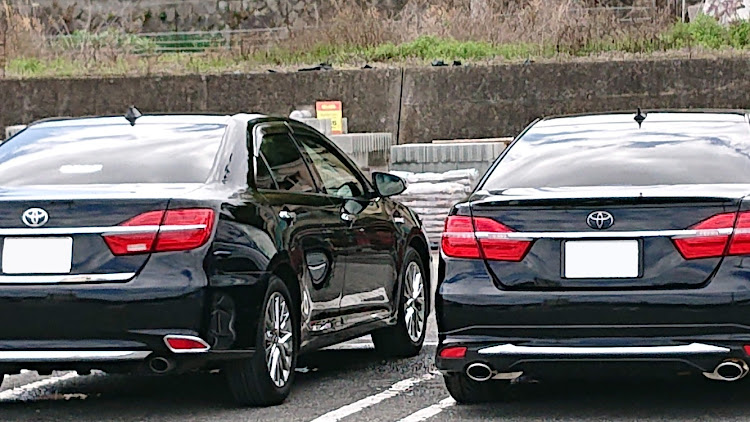 カムリの桜と愛車・ウィポジ修理・後部座席の室内灯は自分で取り替えられた・タイヤ交換完了に関するカスタム事例の投稿画像2枚目