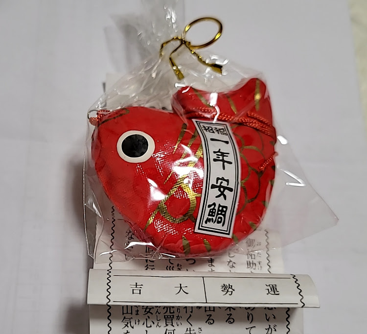 アムロさんさんが投稿した2023年もよろしくお願いします・ドライブ・スカイライン巡り・富士山・No.フレーム骨折🙀に関するカスタム事例の投稿画像11枚目