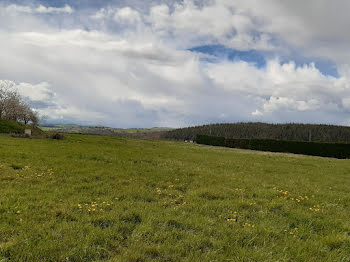 terrain à Ebreuil (03)