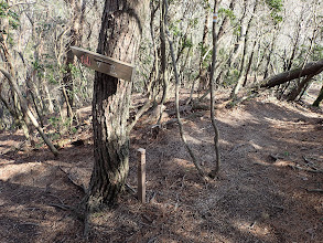 臼杵山分岐（左へ）